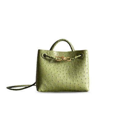 BOTTEGA VENETA SMALL ANDIAMO 805231 (25*20*10cm) 